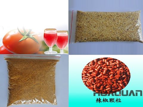 奔走在沙海、雪山的邊緣