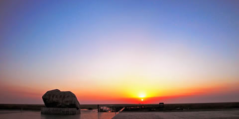 『隨華全，觀天下』 ——走進崇明