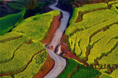 知道“油菜花之鄉(xiāng)”嗎？羅平好地方，華全發(fā)貨忙！