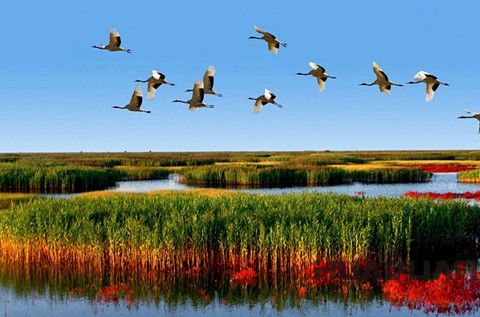 華全發(fā)電機(jī)：接地氣！大濰坊一言不合又?jǐn)€了個(gè)全省 