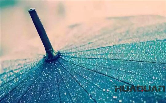 五月的雨，灑遍濰坊，鮮活了一座城，清新了城里的華全人