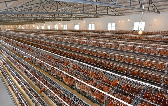 迎風(fēng)而上冒雨前行，華全發(fā)電機(jī)組用實際行動助力南京抵御臺風(fēng)侵襲