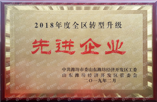 華全動(dòng)力被評(píng)為濰坊2018年度全區(qū)轉(zhuǎn)型升級(jí)先進(jìn)企業(yè)