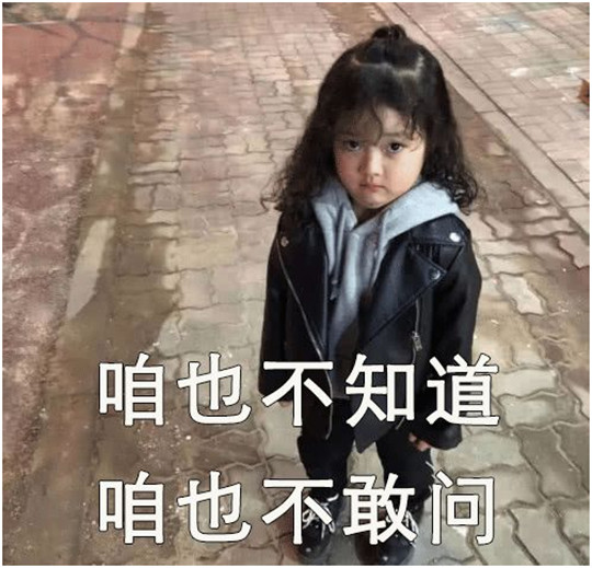 咱也不知道，華全400千瓦發(fā)電機(jī)組為啥發(fā)往浦東，咱也不敢問