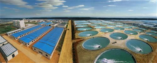 湛江水產(chǎn)公司訂購華全玉柴發(fā)電機組